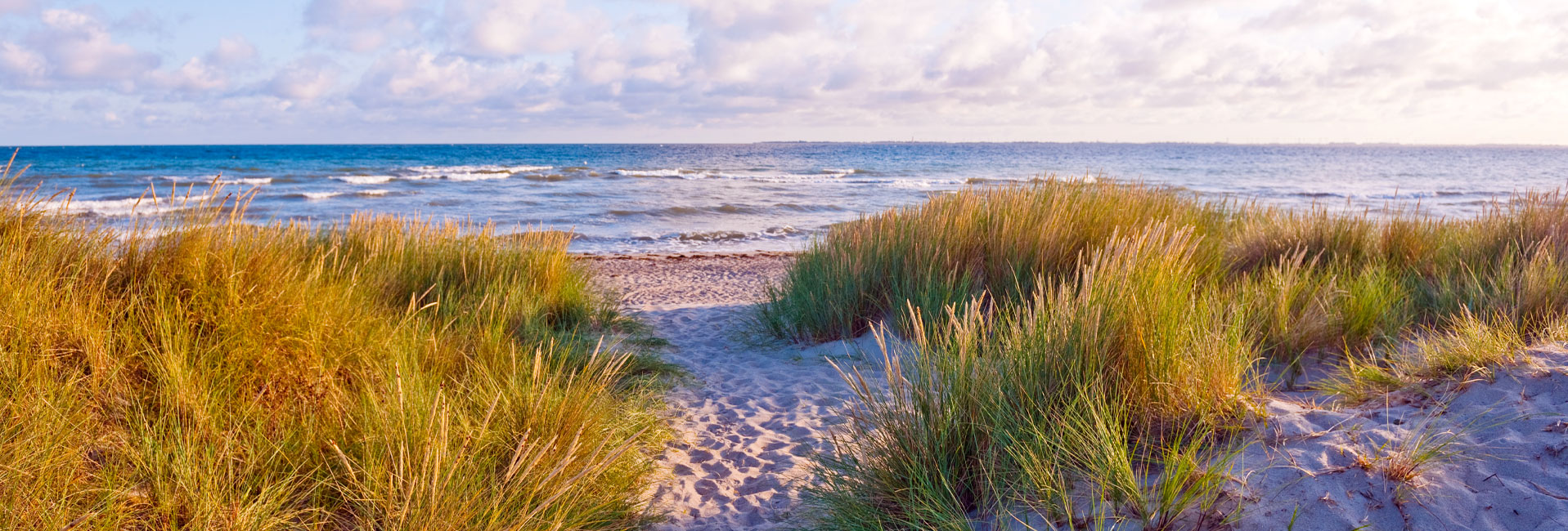 Dünenlandschaft Heiligenhafen